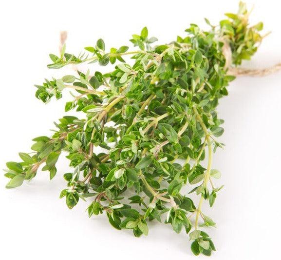 Fresh - Thyme Green — Case (3 CT)