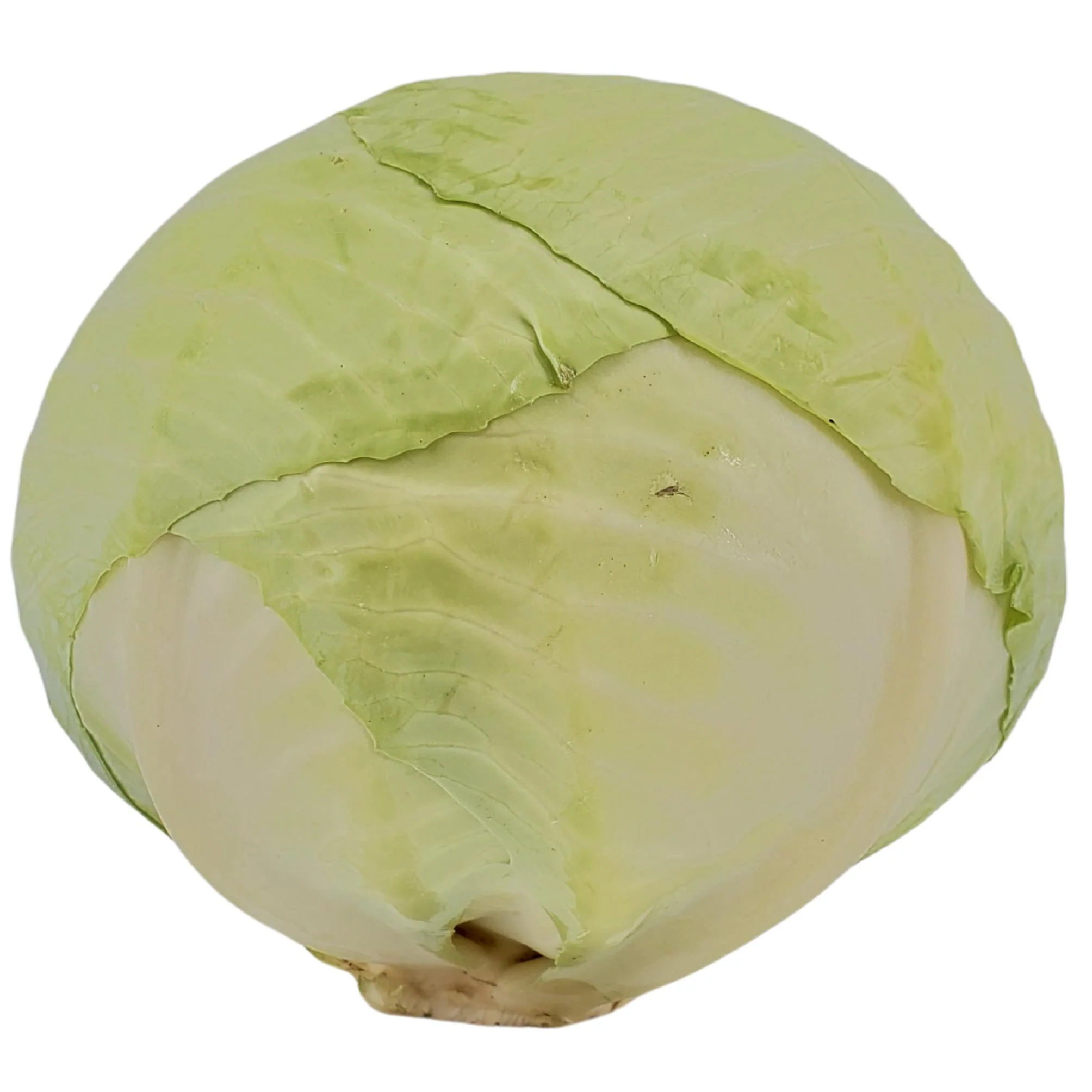 Fresh - Cabbage - Green — Case (12 CT)