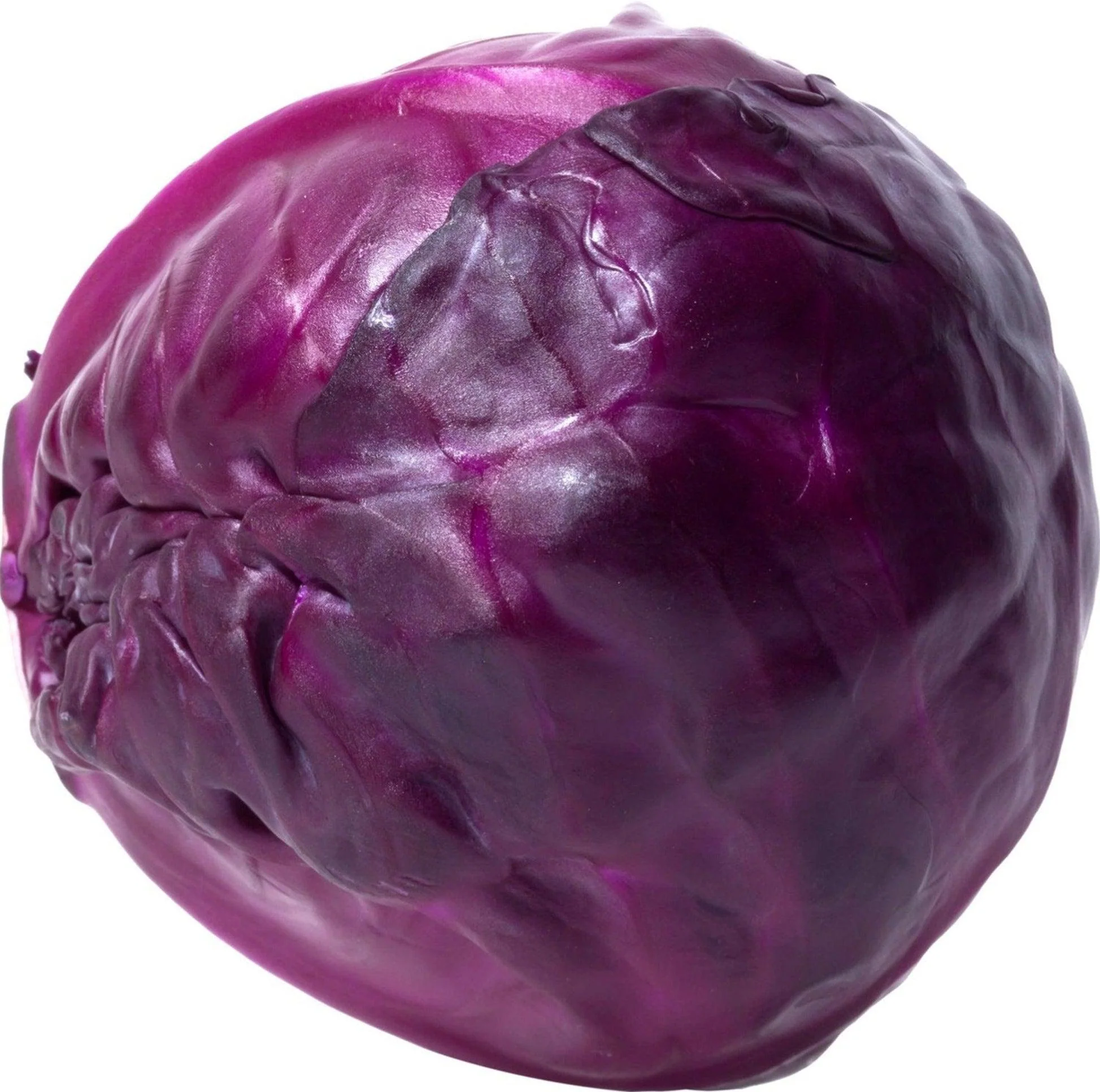 Fresh - Cabbage - Red/Purple — Case (18 CT)
