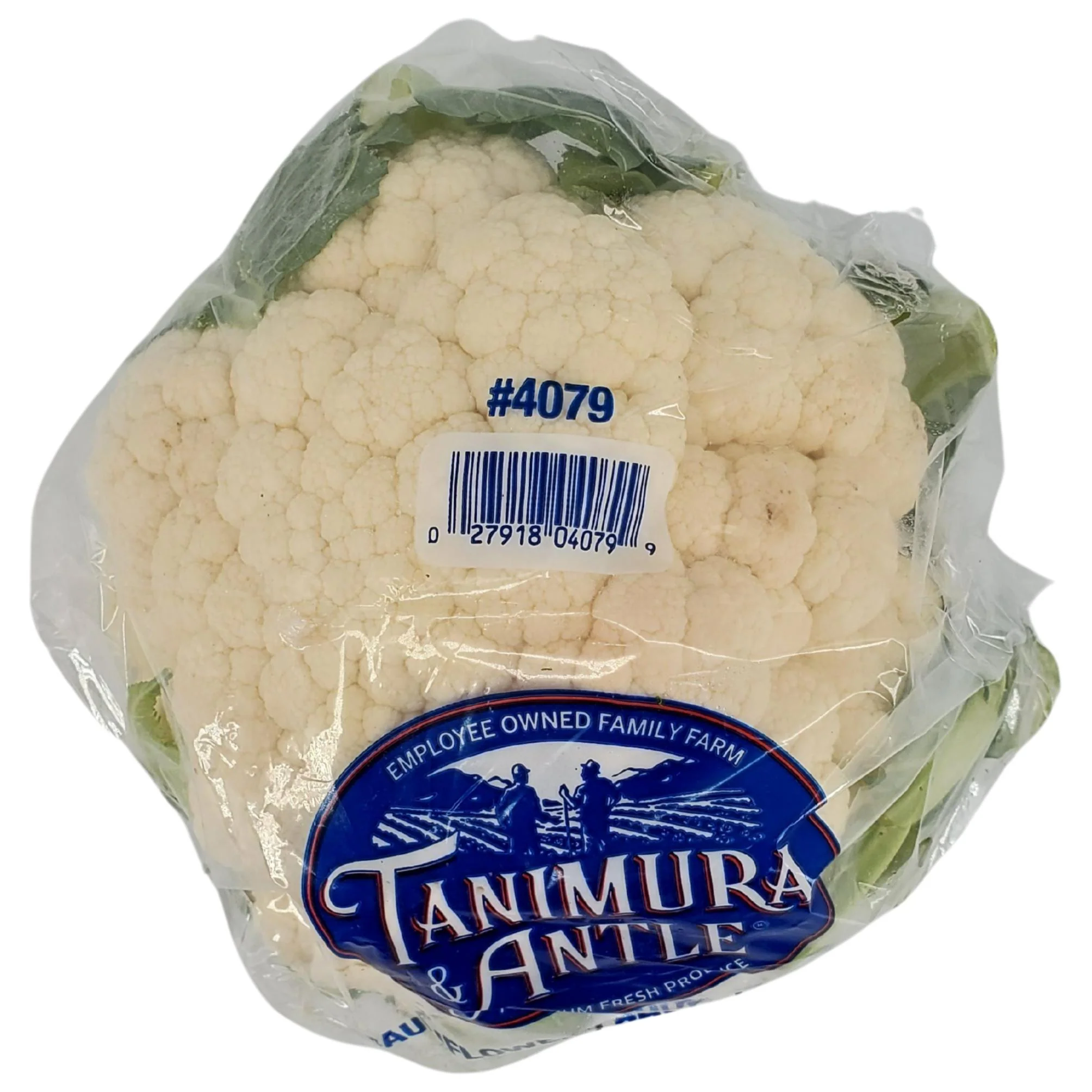 Fresh - Cauliflower — Each (1 CT)