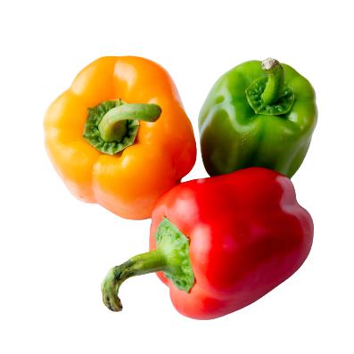 Fresh - Bell Pepper - Mix — Each (5 LB)
