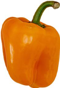 Fresh - Orange Bell Peppers — Each (20 LB)