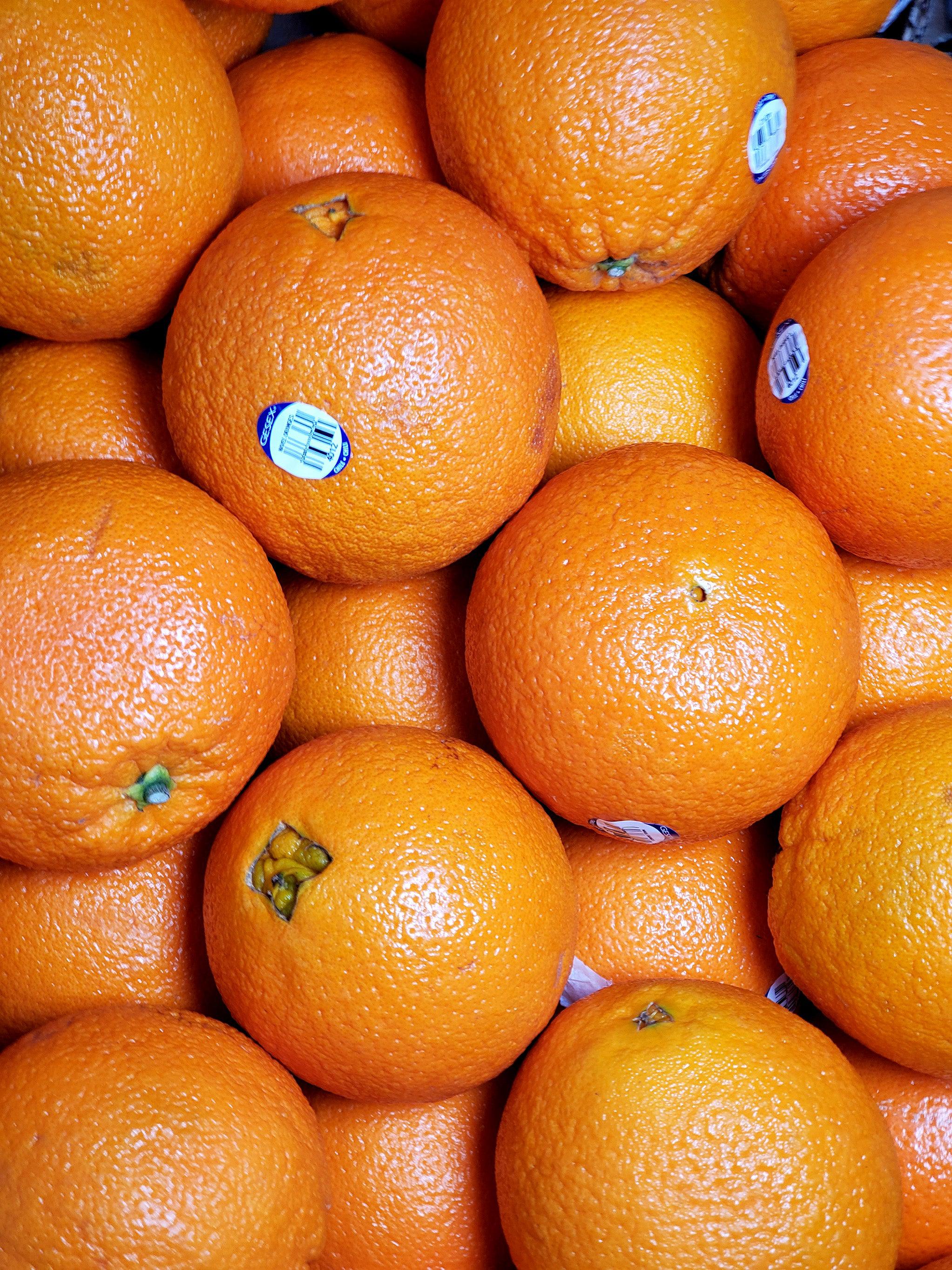 Fresh - Orange Sunkist Navel Size 40 — Case (40 CT)
