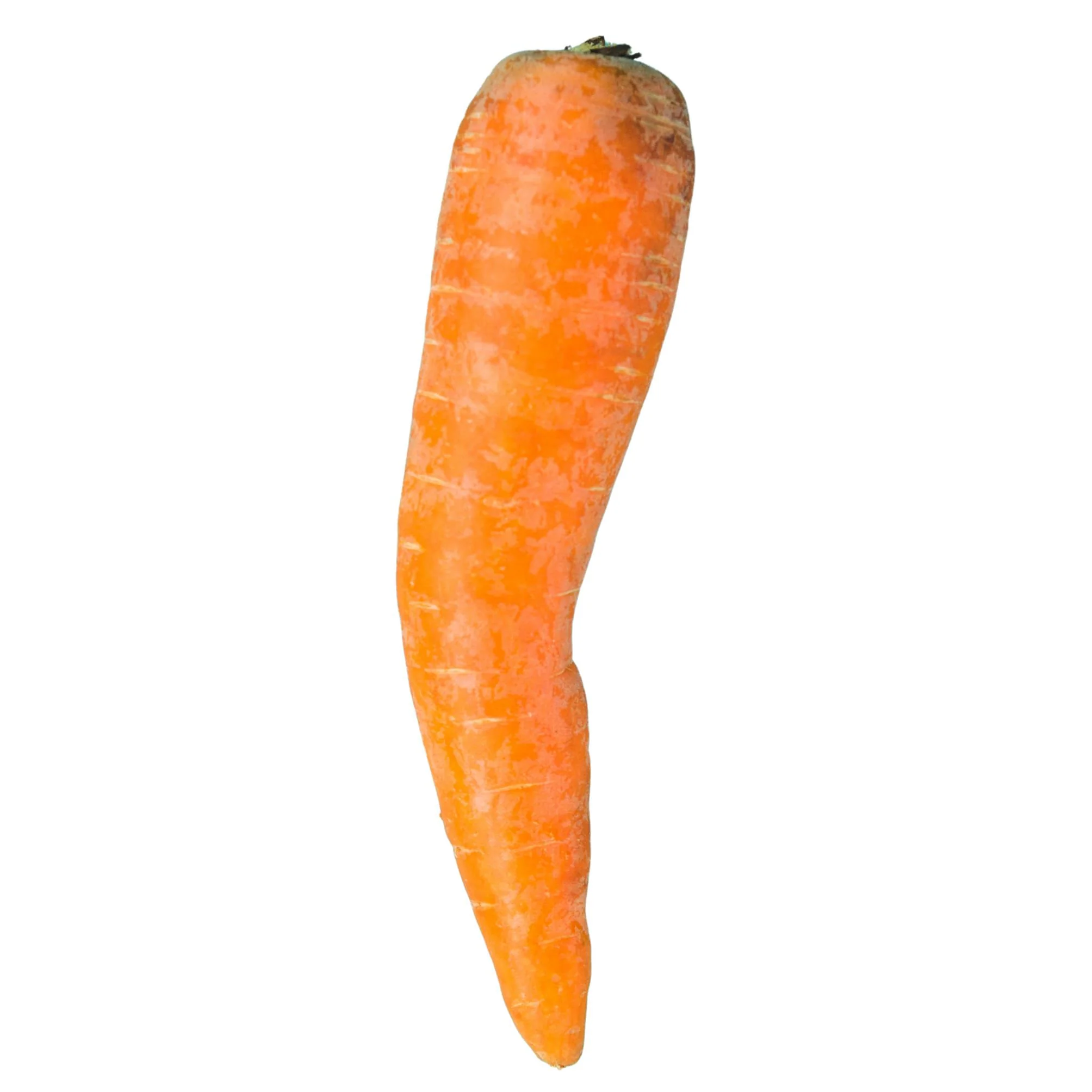 Fresh - Indian Carrot — Each (5 LB)