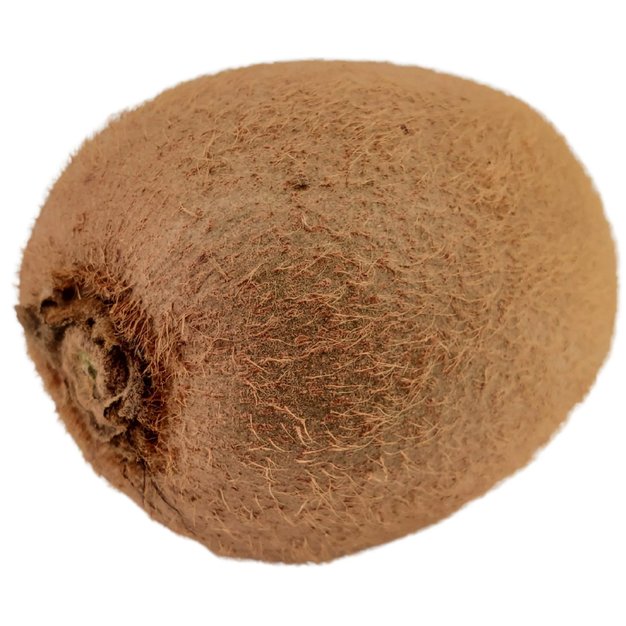 Fresh - Kiwi — Case (10 x 600 G)