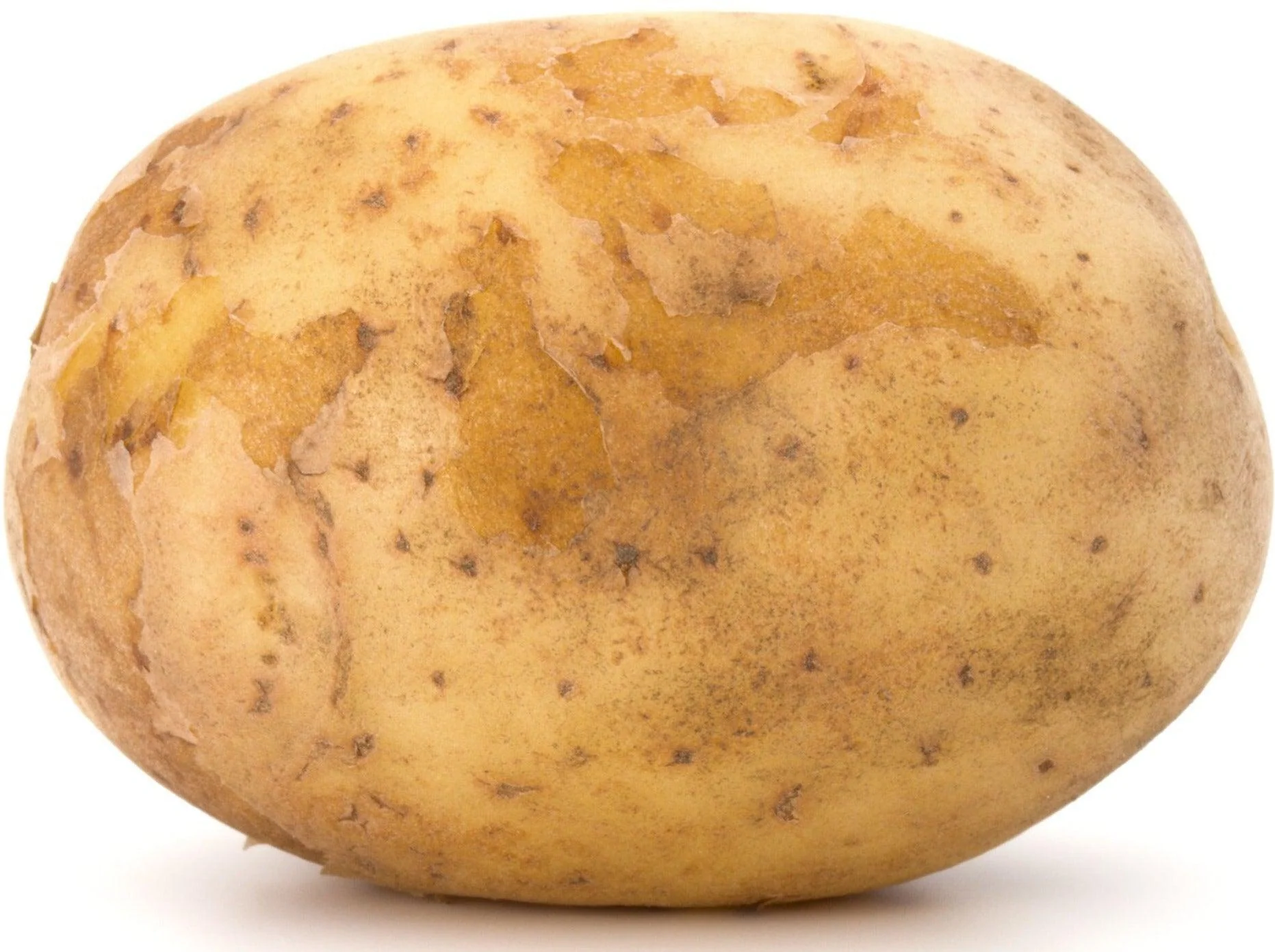 Fresh - Potato - Large - White