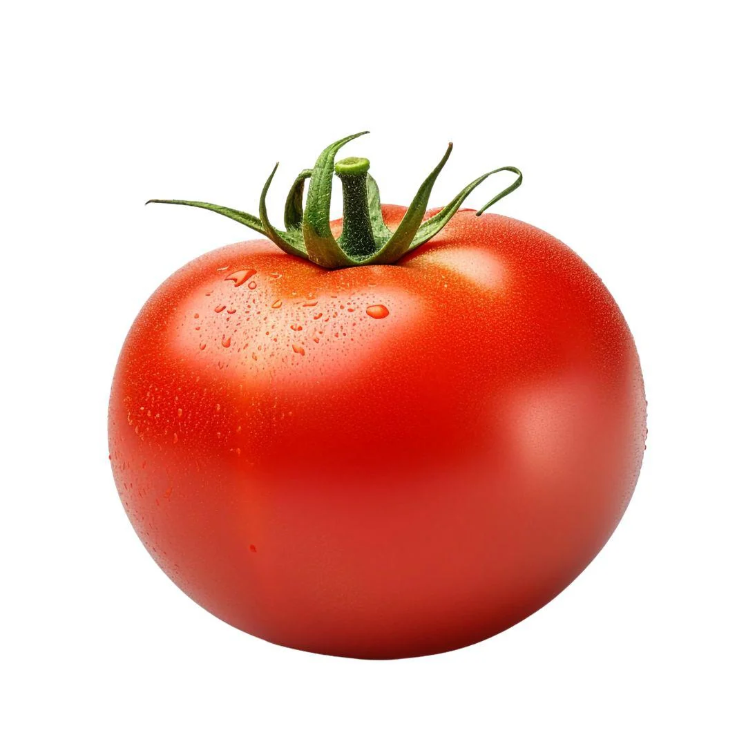 Fresh - Tomato - 6x6 — Pack (25 LB)