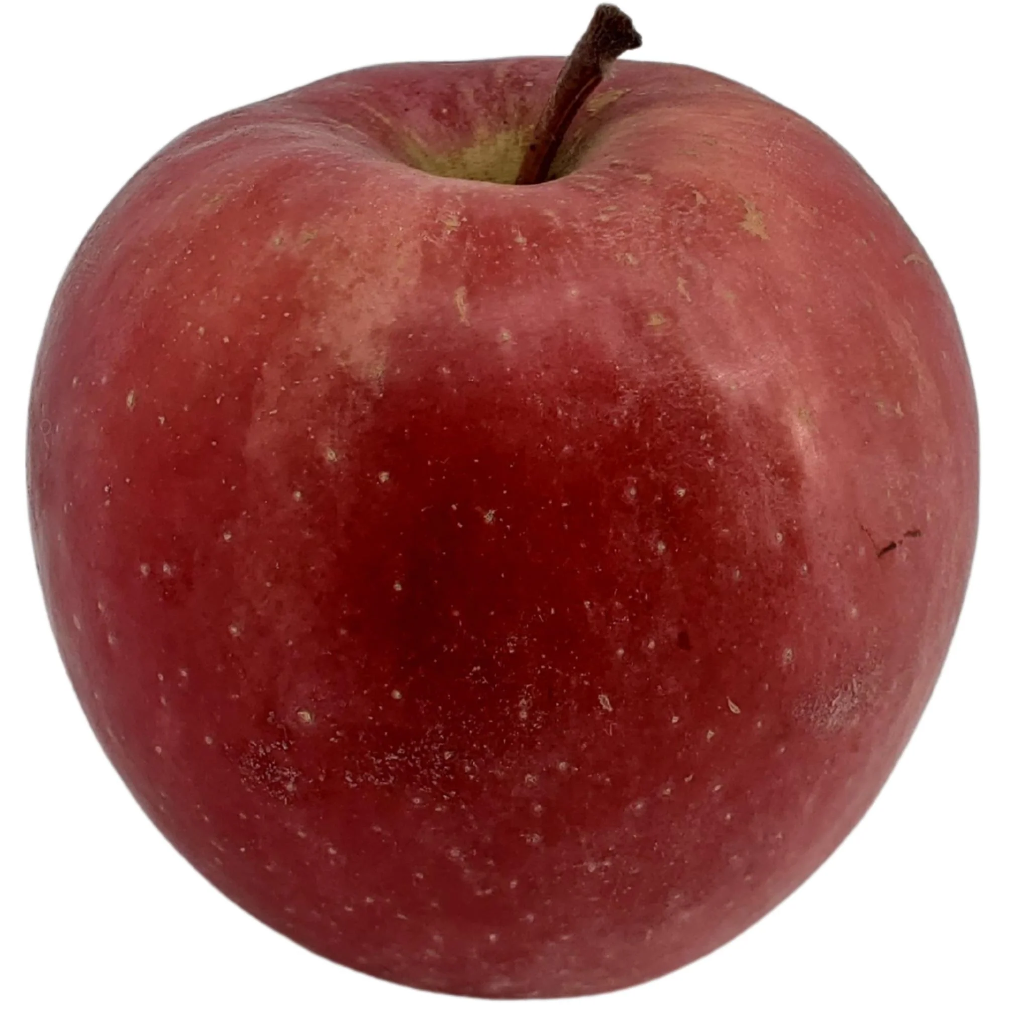 Fresh - Apple - Fuji — Each (40 LB)