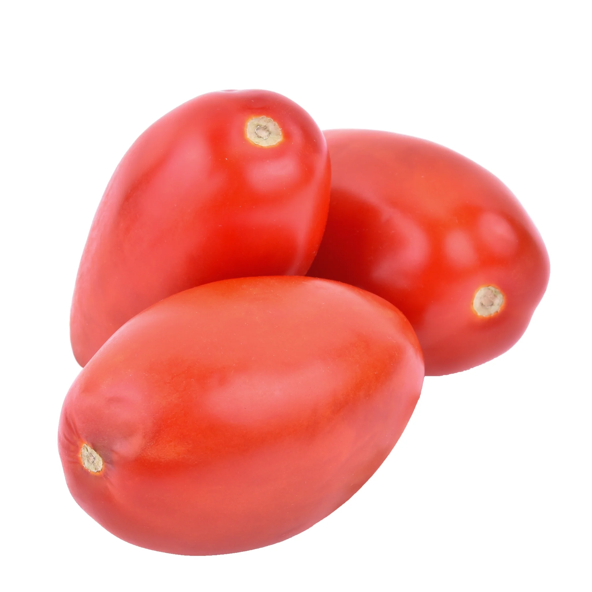 Fresh - Tomato - Roma — Each (25 LB)