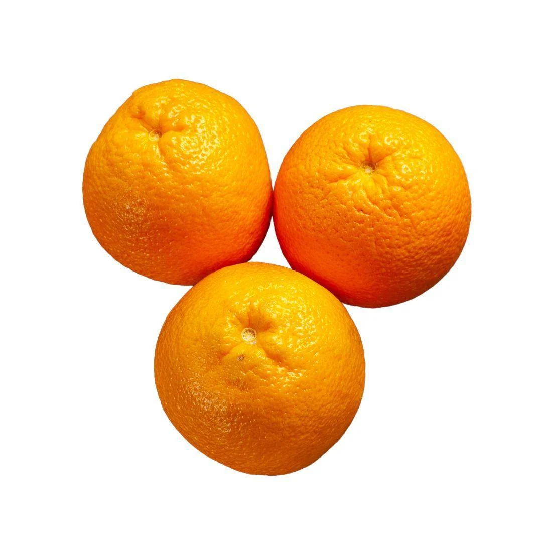 Fresh - Orange - Naval Size 105 — Each (12 CT)