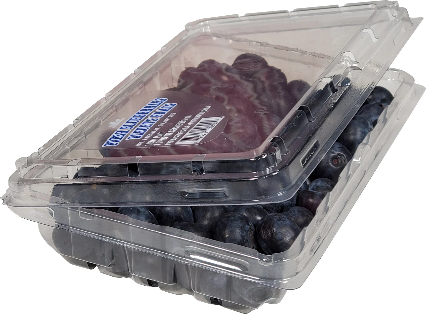Fresh - Blueberry 1 Pint — Case (12 x 1 CT)
