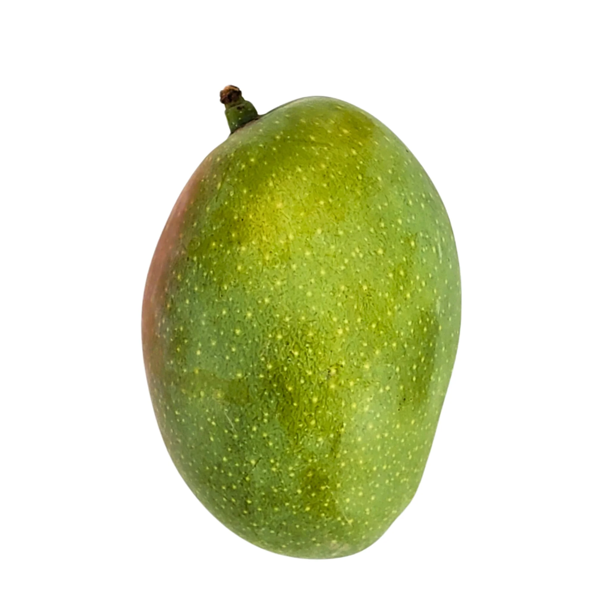 Fresh - Baby Mango — Case (5 CT)