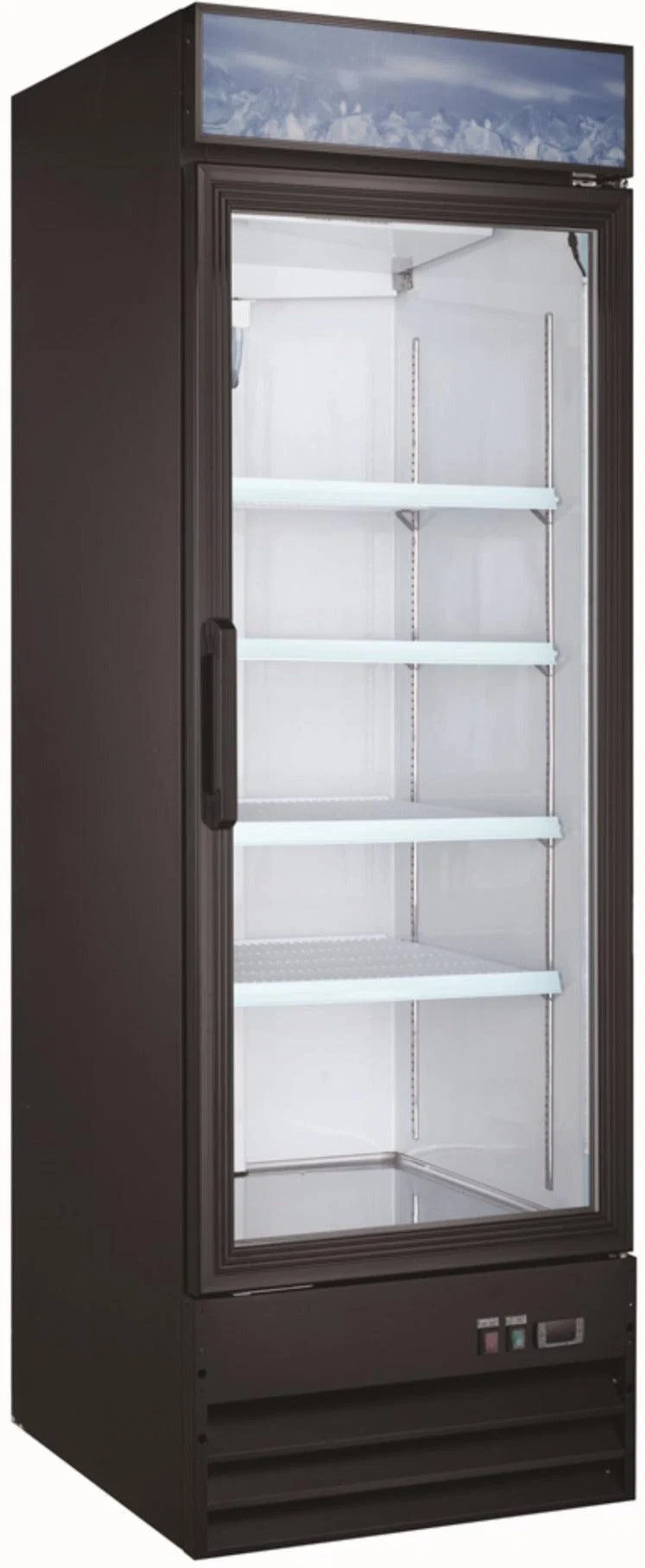 Pro-Kitchen - Merch. Swing Glass 1 Door Freezer (23CF) 31x31x81"