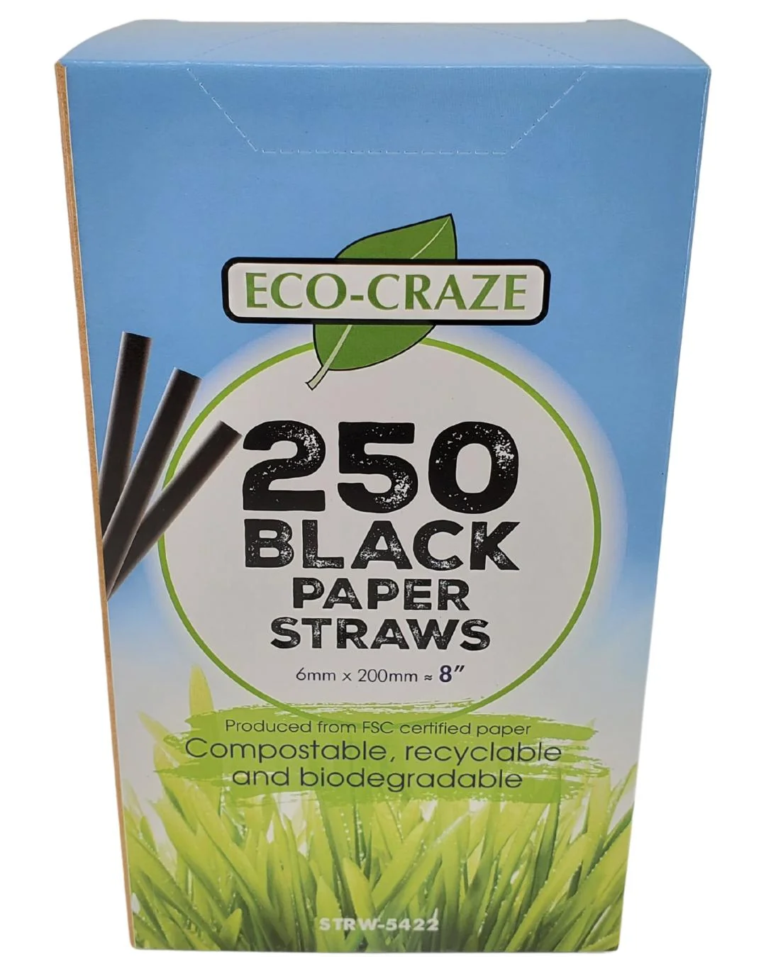 Eco-Craze - 8" Black Paper Straw - 6 mm — Case (12 x 250 CT)