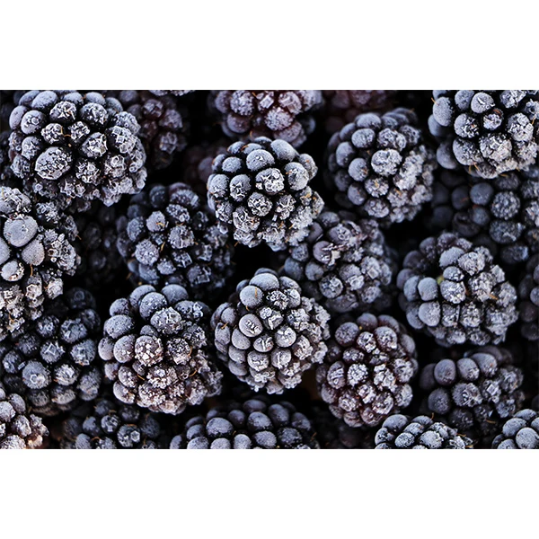 Alasko - Blackberries 1KG