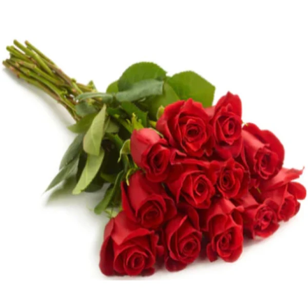 Freedom Red Roses Bundle 50CM 25UN