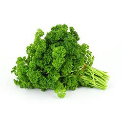 P - Parsley Curly Repack 3 EA