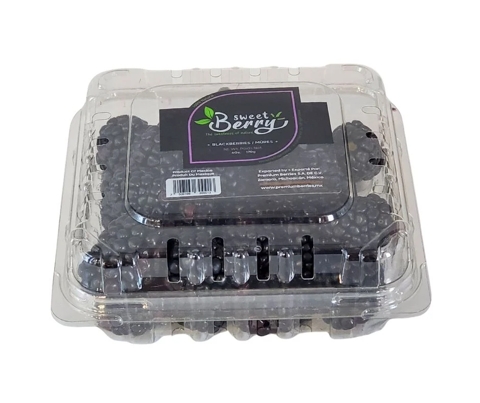 Fresh - Blackberry 12 Oz — Case (8 CT)